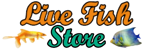 Live Fish Store