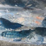 Blue Glaze Shrimp