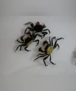 Vampire Crab