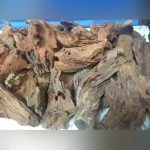 Madagascar Driftwood