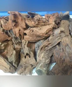 Madagascar Driftwood