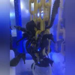Black Seahorse -Tank Raised