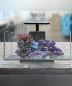 Alternative view of 10 Gallon Premium Complete Aquarium Set