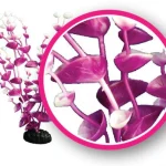 Magenta Tulips