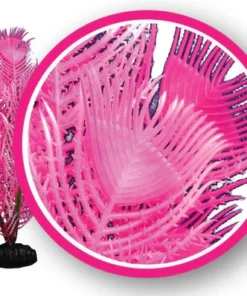 Pink Princess Feather