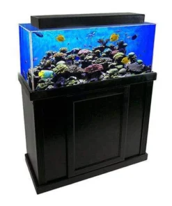 Clear for Life Rectangle 300 Gallon Acrylic Aquarium - Fresh or Saltwater with black stand