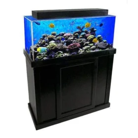 Clear for Life Rectangle 300 Gallon Acrylic Aquarium - Fresh or Saltwater with black stand