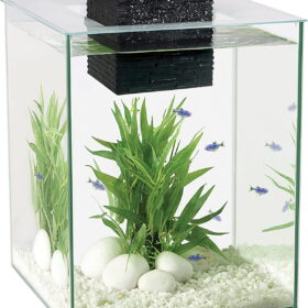 Chi II Series Aquarium Set, 5-Gallon – Aquarium Tank with Ambient LED Lighting, Flowing Water, and Elegant Design, White