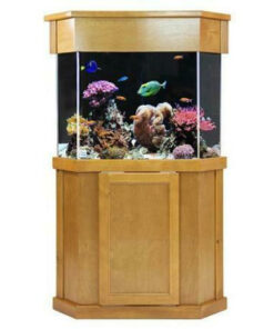 Clear-for-Life 100-Gallon Pentagon Acrylic Aquarium Setup