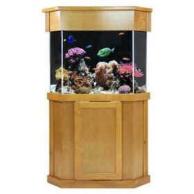 Clear-for-Life 100-Gallon Pentagon Acrylic Aquarium Setup