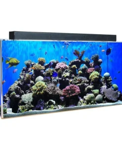 Clear for Life Rectangle 200 Gallon Acrylic Aquarium - Fresh or Saltwater