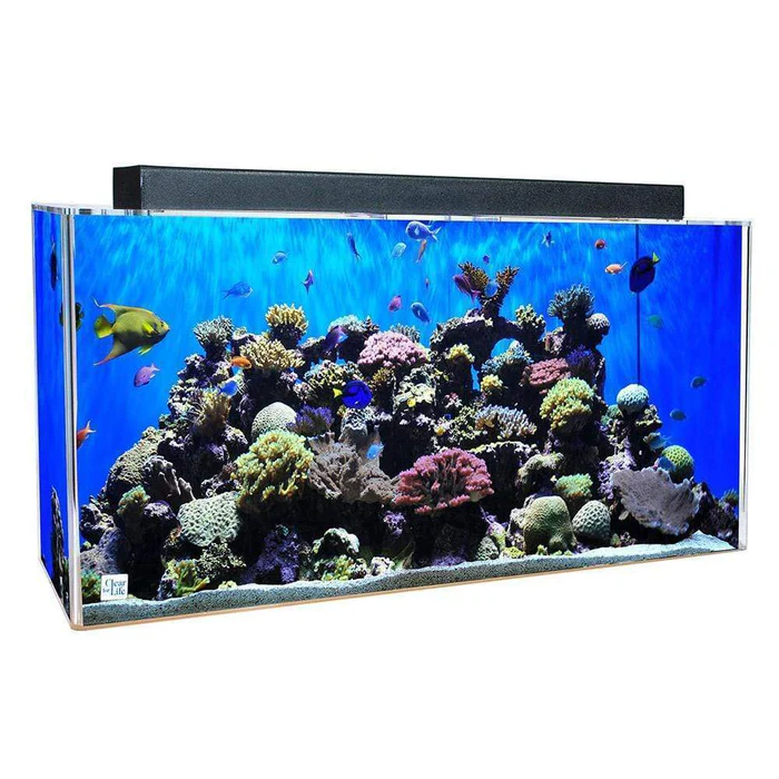 Clear for Life Rectangle 200 Gallon Acrylic Aquarium - Fresh or Saltwater