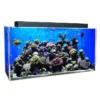 Clear for Life Rectangle 55 Gallon Acrylic Aquarium - Fresh or Saltwater