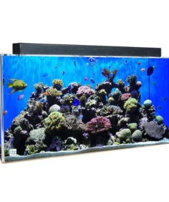 Clear for Life Rectangle 55 Gallon Acrylic Aquarium - Fresh or Saltwater