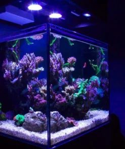 50 Gallon Artisan II Cube - Reef Saltwater Glass Aquarium-view