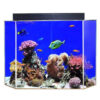 clear-for-life-corner-uniquarium-3-in-1-pentagon-fresh-or-saltwater-acrylic-aquarium-Blue background