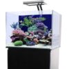 jbj-30-gallon-nano-cube-fresh-or-saltwater-glass-aquarium-rl-30-no stand