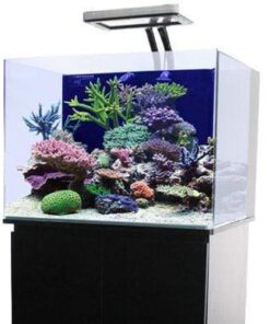 jbj-30-gallon-nano-cube-fresh-or-saltwater-glass-aquarium-rl-30-no stand