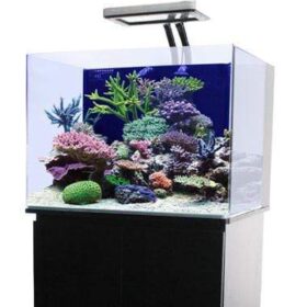 jbj-30-gallon-nano-cube-fresh-or-saltwater-glass-aquarium-rl-30-no stand